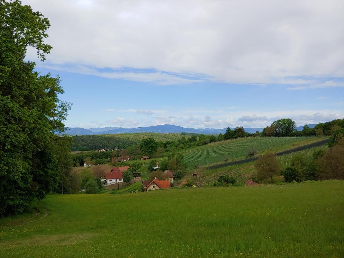 Kleine Reblaus Διαμέρισμα Bad Waltersdorf Εξωτερικό φωτογραφία